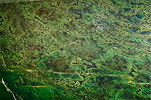 Granite Green Persian