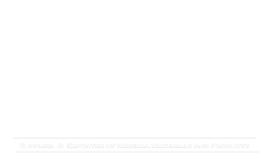 logo 88 Group